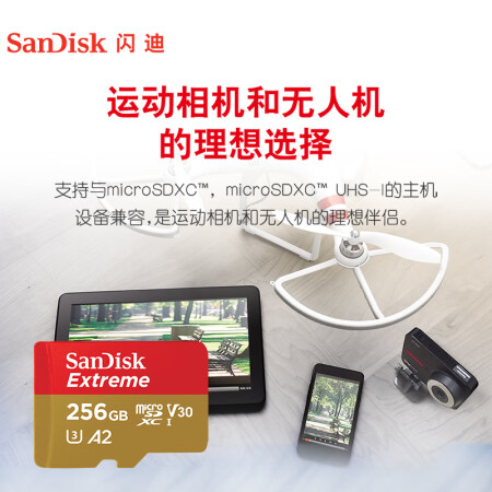 闪迪（SanDisk）256GB TF（MicroSD）存储卡