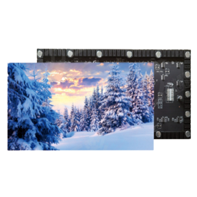 强力巨彩 P4 弧形会标屏 （含屏体+支撑结构）单位：平方