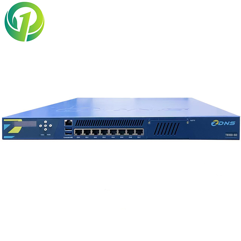 zdns 核心网络服务设备T6100-SD（16G内存/1T硬盘/冗余电源/含红枫下一代互联网域名服务软件v3.0+3年原厂维保及半年做一次巡检） 