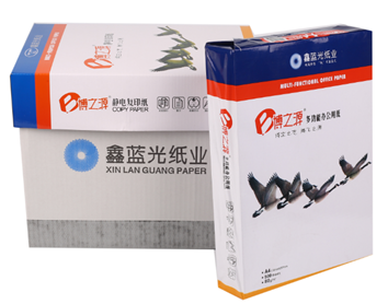 博之源复印纸 A4 80G 500张/包  5包/箱 