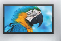   High-Basic/HB-DT055-WM 55寸英寸触摸屏壁挂多媒体教学触控一体机（含1台全高清多媒体播放控制器 屏联网 XTMC10）