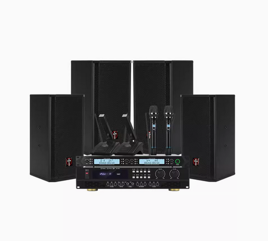 腾曼迪 定制 会议室音响套装（功放XI-3100 *1台 话筒*HL-2A*1套 音箱K-105*1对）