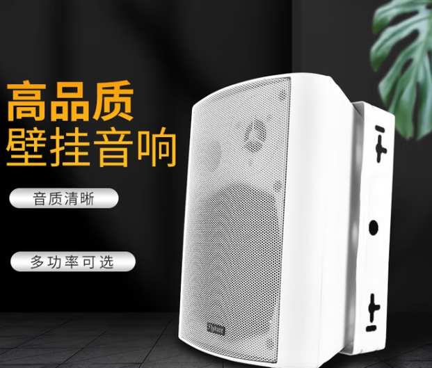 鸿合 壁挂式音箱 HA-SD01