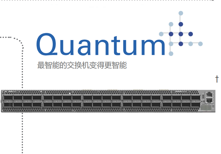 迈络思 交换机MQM8700-HS2F 配置：10 条 10M 200GB IB HDR QSFP56线缆（含模块）原厂5年质保
