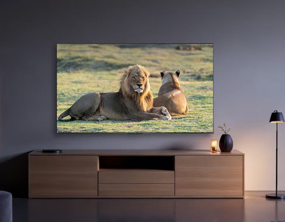 TCL 98G60L 98英寸大屏电视 节能环保 语音智能控制 酒店商用电视